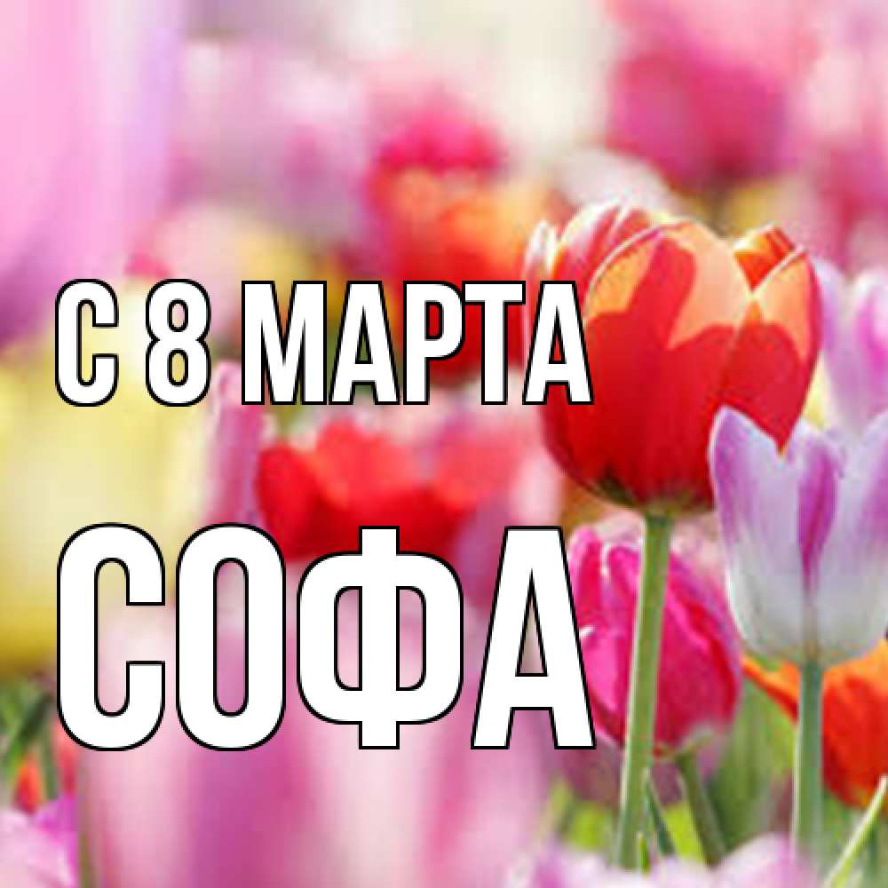 Открытка на каждый день с именем, Софа C 8 МАРТА на международный женский день 2 Прикольная открытка с пожеланием онлайн скачать бесплатно 