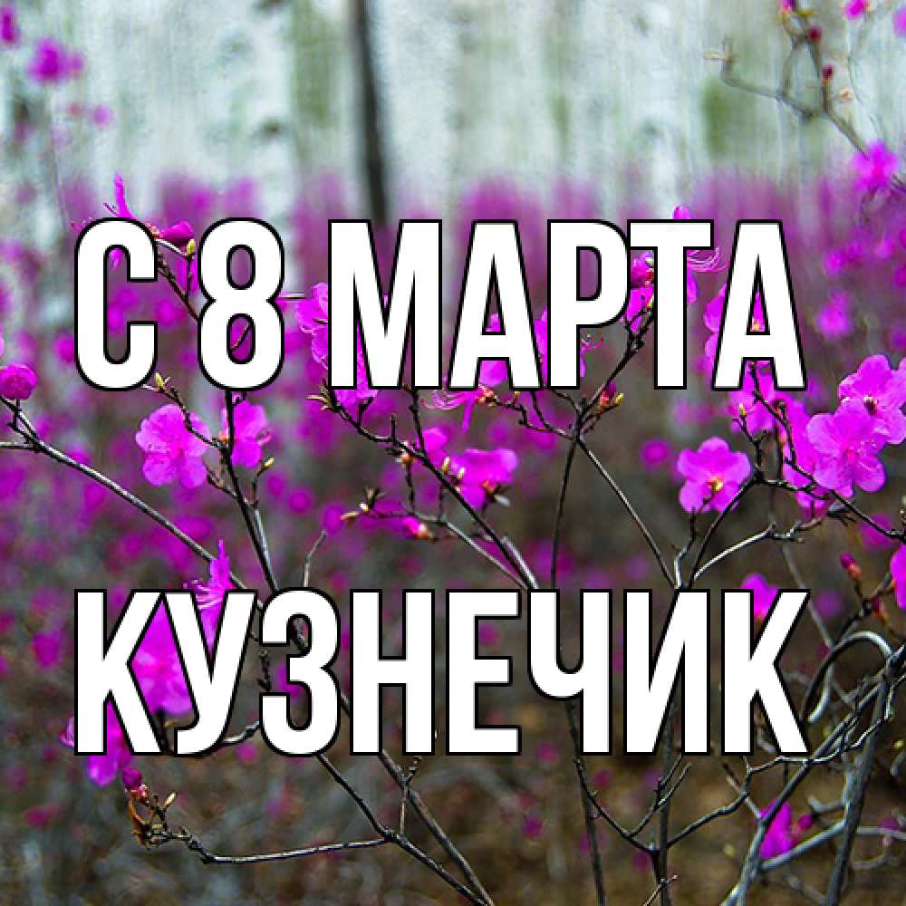 Открытка на каждый день с именем, Кузнечик C 8 МАРТА дикие цветы Прикольная открытка с пожеланием онлайн скачать бесплатно 