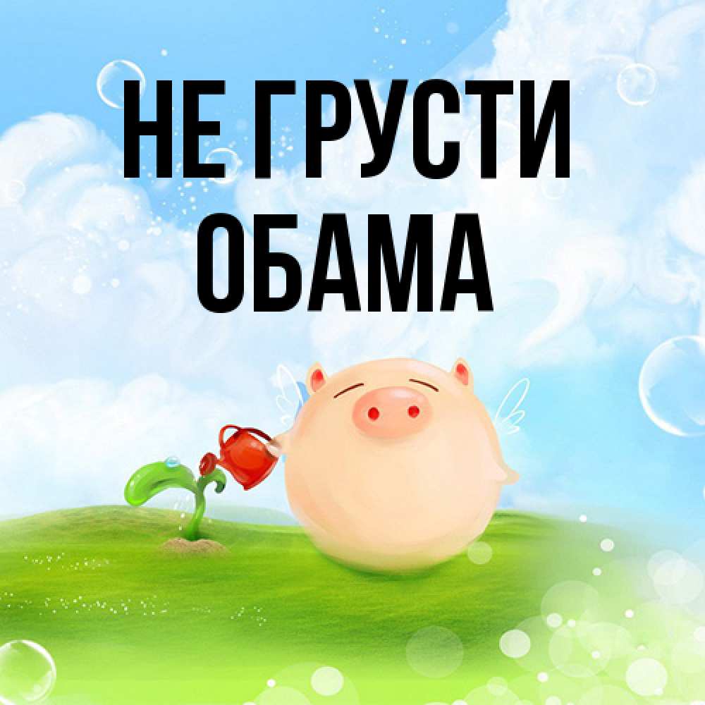 Открытка на каждый день с именем, Обама Не грусти поливает цветок порося Прикольная открытка с пожеланием онлайн скачать бесплатно 