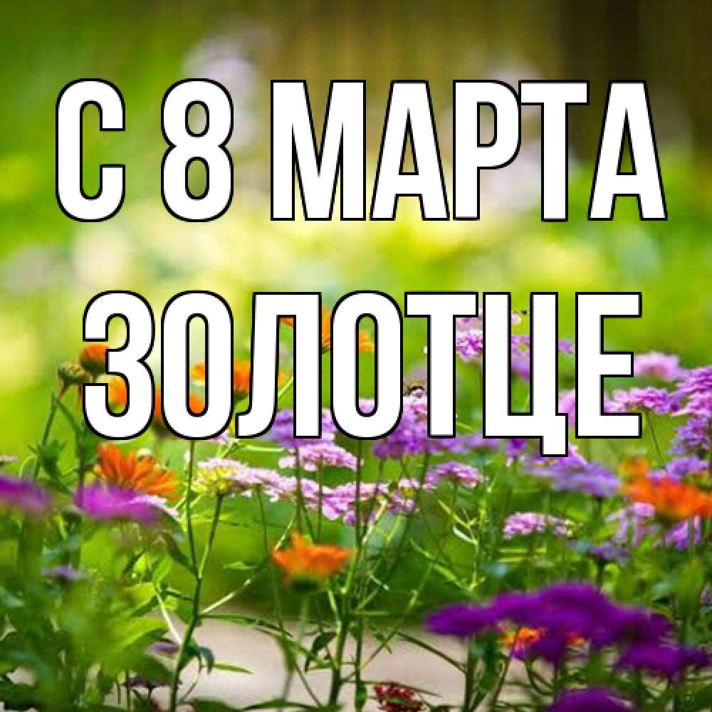 Открытка на каждый день с именем, Золотце C 8 МАРТА цветы Прикольная открытка с пожеланием онлайн скачать бесплатно 