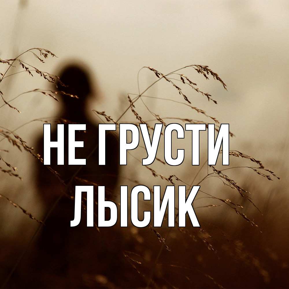 Открытка на каждый день с именем, Лысик Не грусти грусть Прикольная открытка с пожеланием онлайн скачать бесплатно 