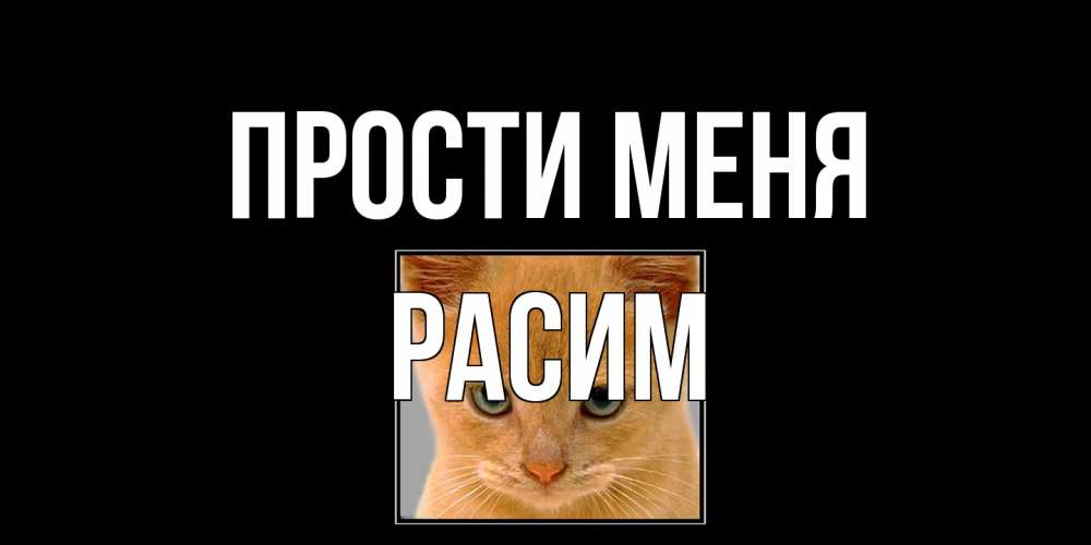 Открытка на каждый день с именем, Расим Прости меня рыжий грустный кот просит прощения Прикольная открытка с пожеланием онлайн скачать бесплатно 