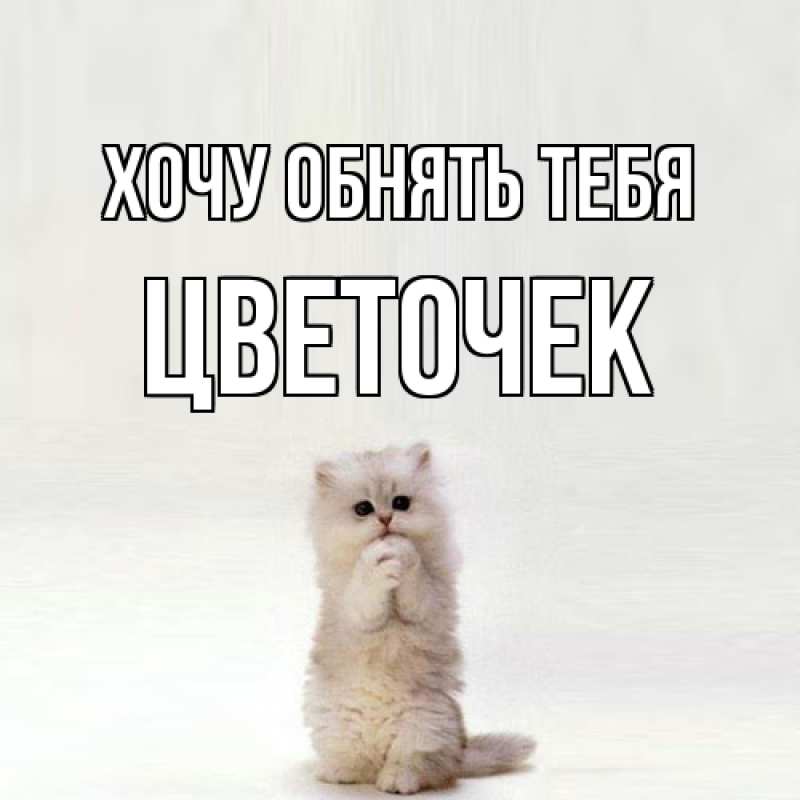 Картинка Хочу обнять тебя, Цветочек