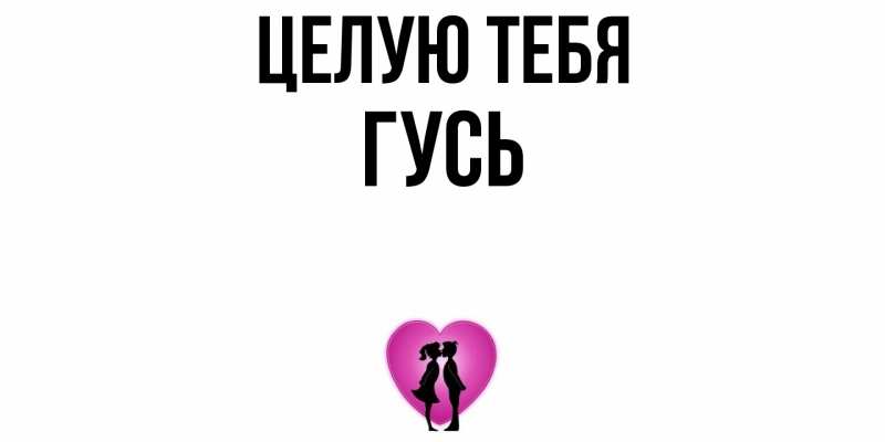 Картинка Целую тебя, Гусь