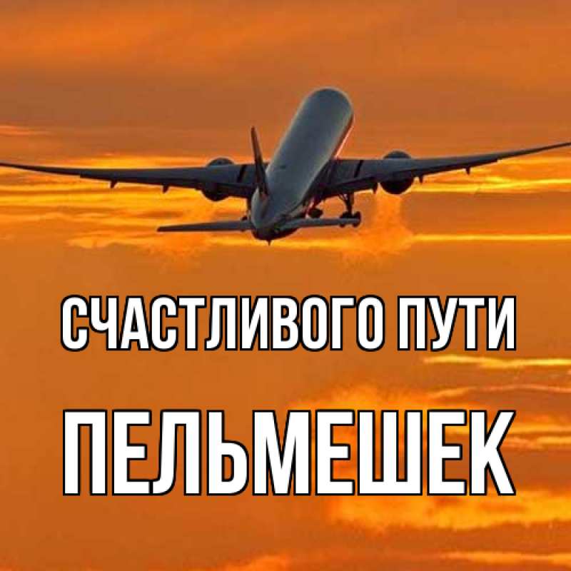 Картинка Счастливого пути, пельмешек