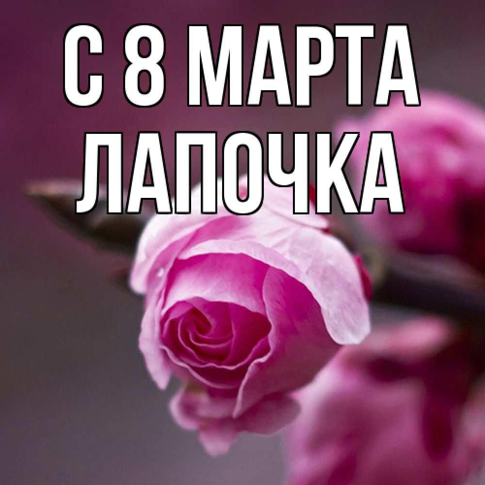 Открытка на каждый день с именем, лапочка C 8 МАРТА весна Прикольная открытка с пожеланием онлайн скачать бесплатно 