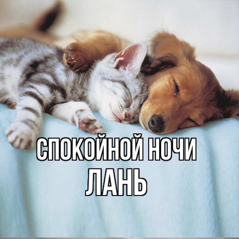 Картинка Спокойной ночи, лань