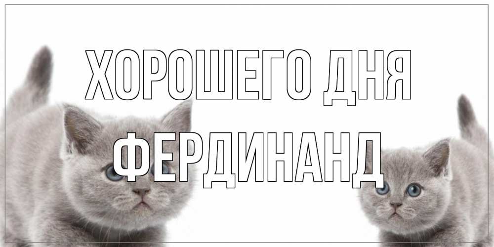 Открытка на каждый день с именем, Фердинанд Хорошего дня открытка с котами Прикольная открытка с пожеланием онлайн скачать бесплатно 