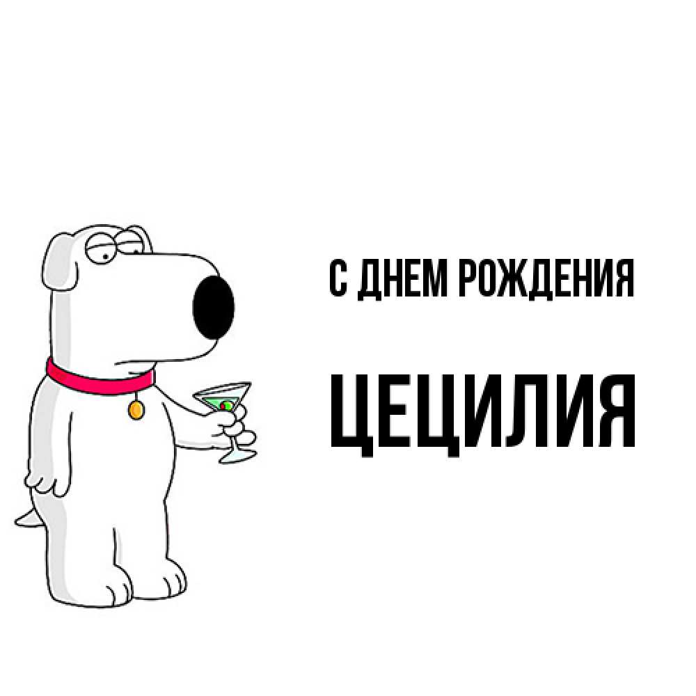 Открытка на каждый день с именем, Цецилия С днем рождения песик с оливками Прикольная открытка с пожеланием онлайн скачать бесплатно 