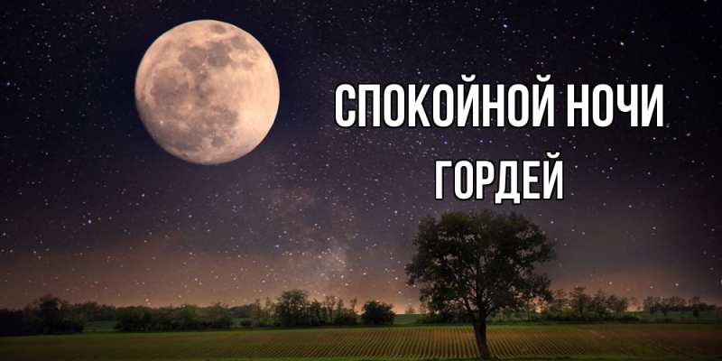 Картинка Спокойной ночи, Гордей
