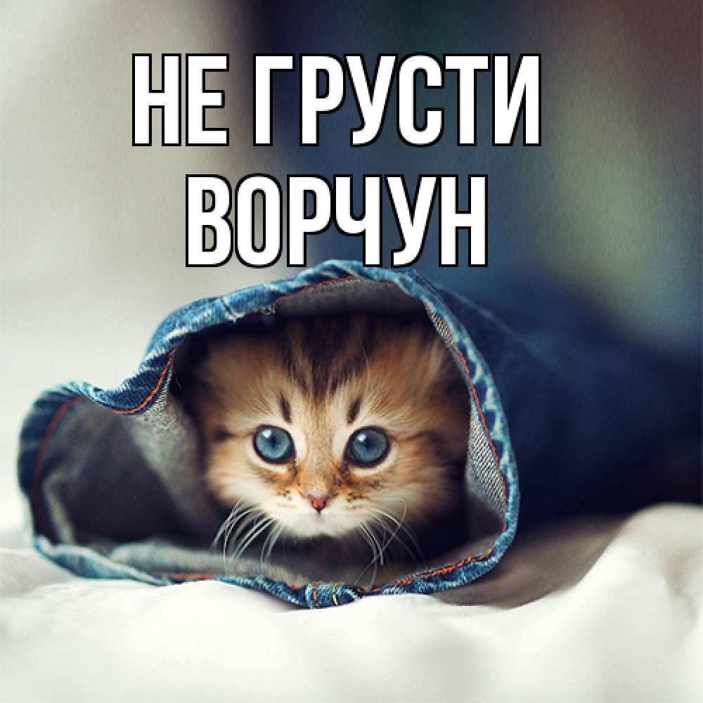 Открытка на каждый день с именем, Ворчун Не грусти рыжик котик Прикольная открытка с пожеланием онлайн скачать бесплатно 