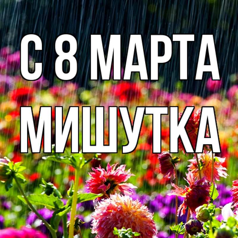Картинка C 8 МАРТА, Мишутка