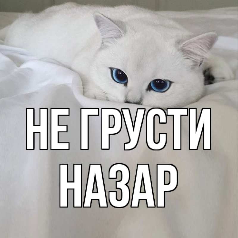 Картинка Не грусти, Назар