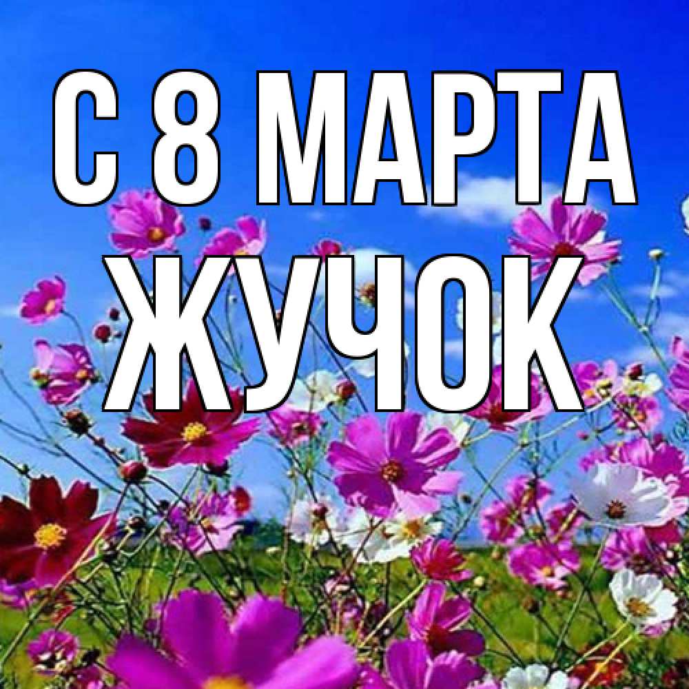 Открытка на каждый день с именем, жучок C 8 МАРТА цветы Прикольная открытка с пожеланием онлайн скачать бесплатно 