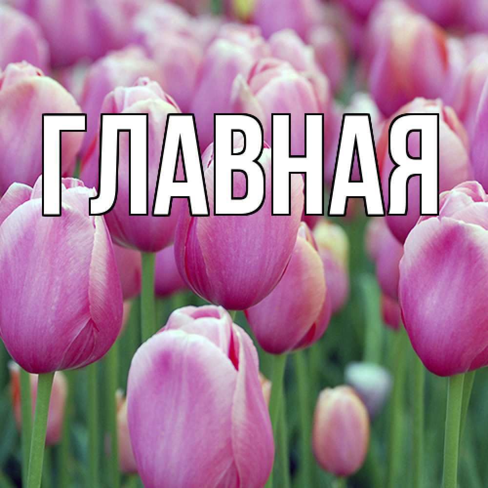 Открытка на каждый день с именем, Анна Главная на международный женский день 3 Прикольная открытка с пожеланием онлайн скачать бесплатно 