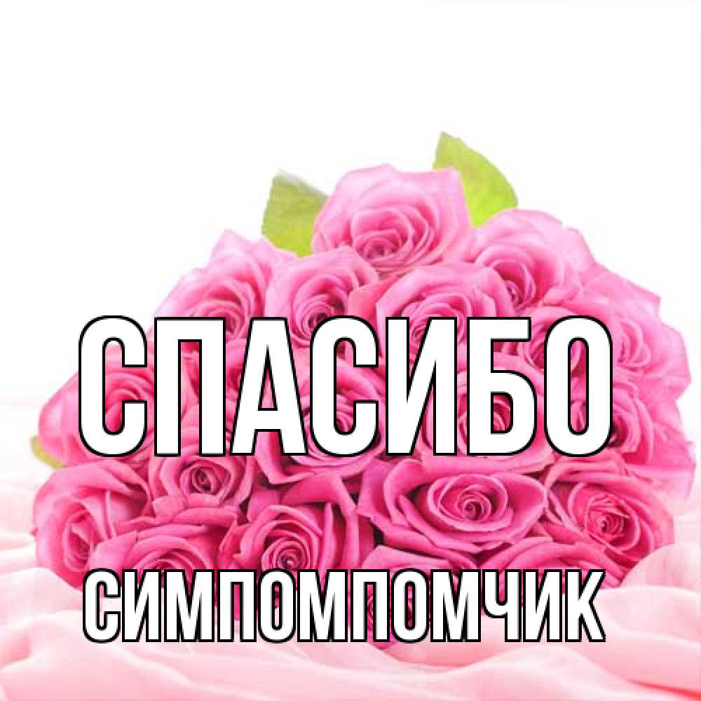 Открытка на каждый день с именем, Симпомпомчик Спасибо розовые розы с подписью Прикольная открытка с пожеланием онлайн скачать бесплатно 