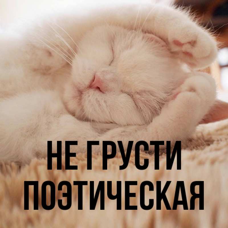 Картинка Не грусти, Поэтическая