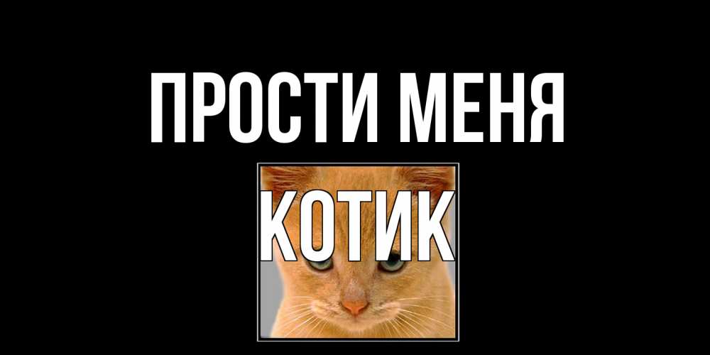 Открытка на каждый день с именем, Котик Прости меня рыжий грустный кот просит прощения Прикольная открытка с пожеланием онлайн скачать бесплатно 