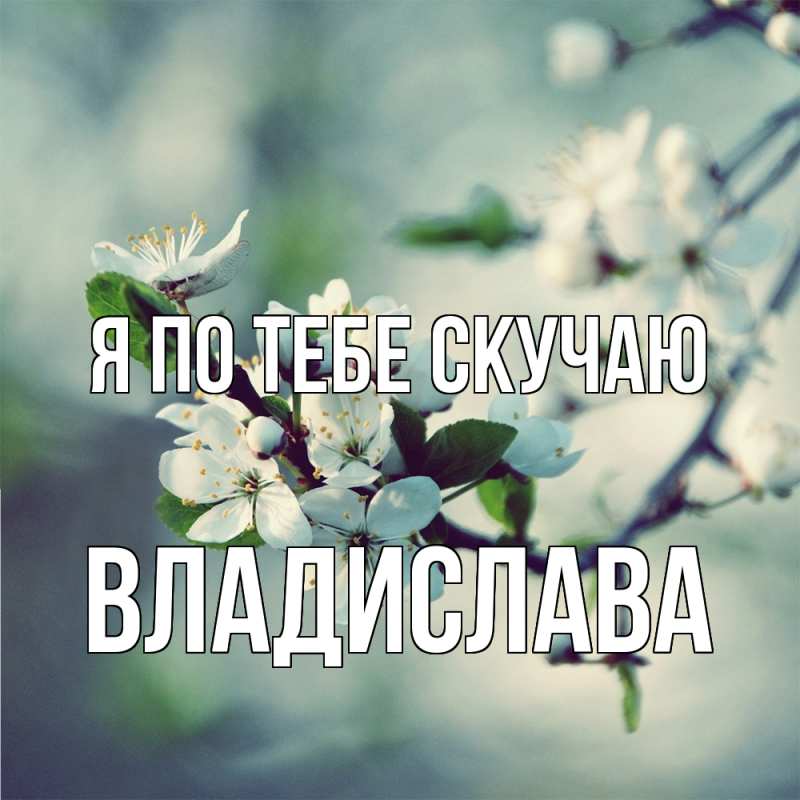 Картинка Я по тебе скучаю, Владислава