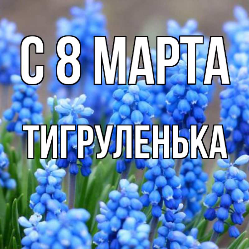 Картинка C 8 МАРТА, Тигpуленька