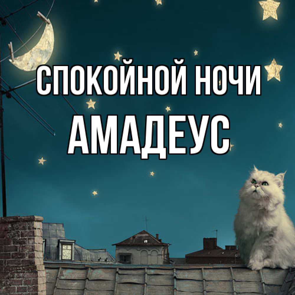 Открытка на каждый день с именем, Амадеус Спокойной ночи белый кот сидит на крыше Прикольная открытка с пожеланием онлайн скачать бесплатно 