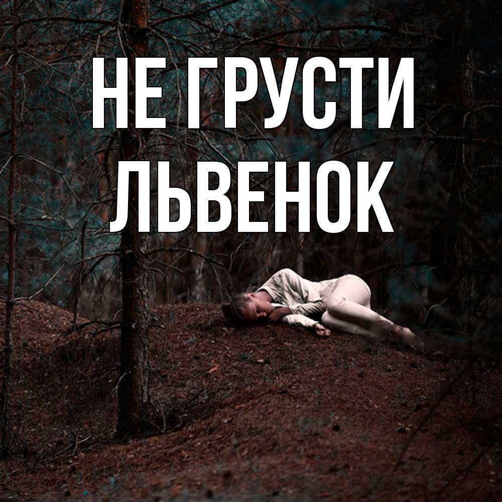 Открытка на каждый день с именем, Львенок Не грусти лес Прикольная открытка с пожеланием онлайн скачать бесплатно 