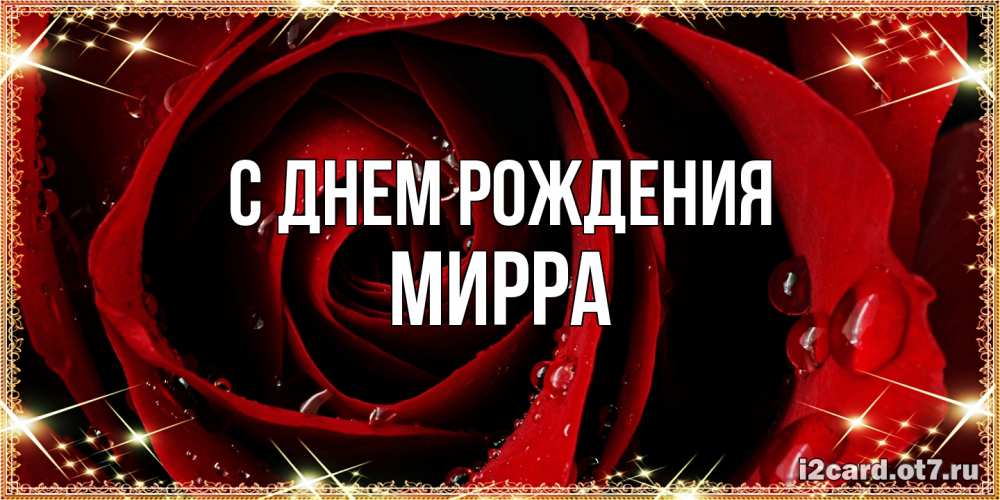 Открытка на каждый день с именем, Мирра С днем рождения цветок в росе на день рождения Прикольная открытка с пожеланием онлайн скачать бесплатно 