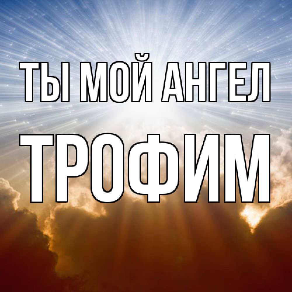 Открытка на каждый день с именем, Трофим Ты мой ангел ангельский свет на небе Прикольная открытка с пожеланием онлайн скачать бесплатно 