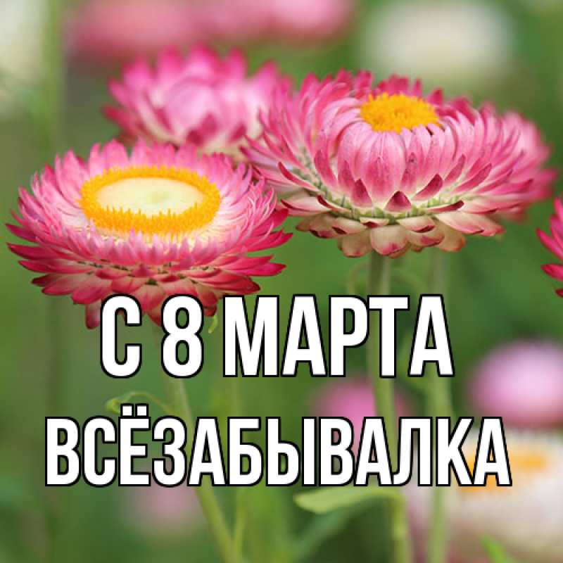 Картинка C 8 МАРТА, Всёзабывалка