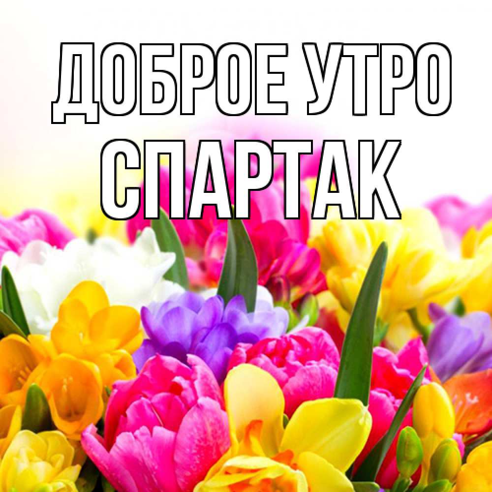 Открытка на каждый день с именем, Спартак Доброе утро создать открытку со свое подписью Прикольная открытка с пожеланием онлайн скачать бесплатно 