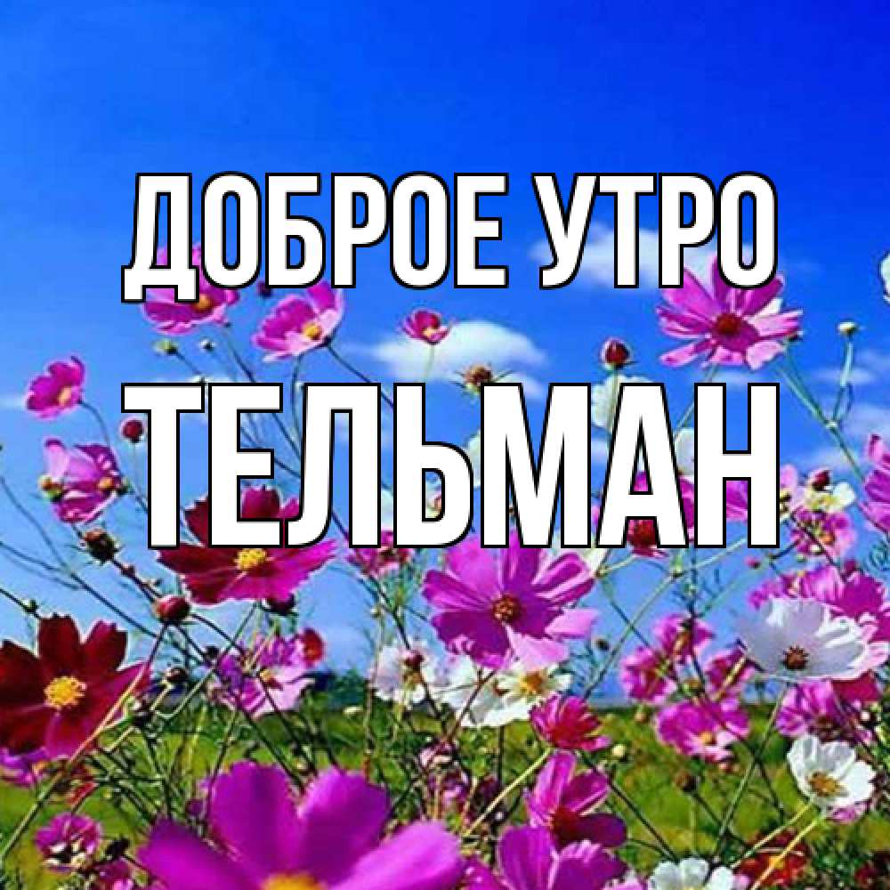 Открытка на каждый день с именем, Тельман Доброе утро сиреневые цветы Прикольная открытка с пожеланием онлайн скачать бесплатно 