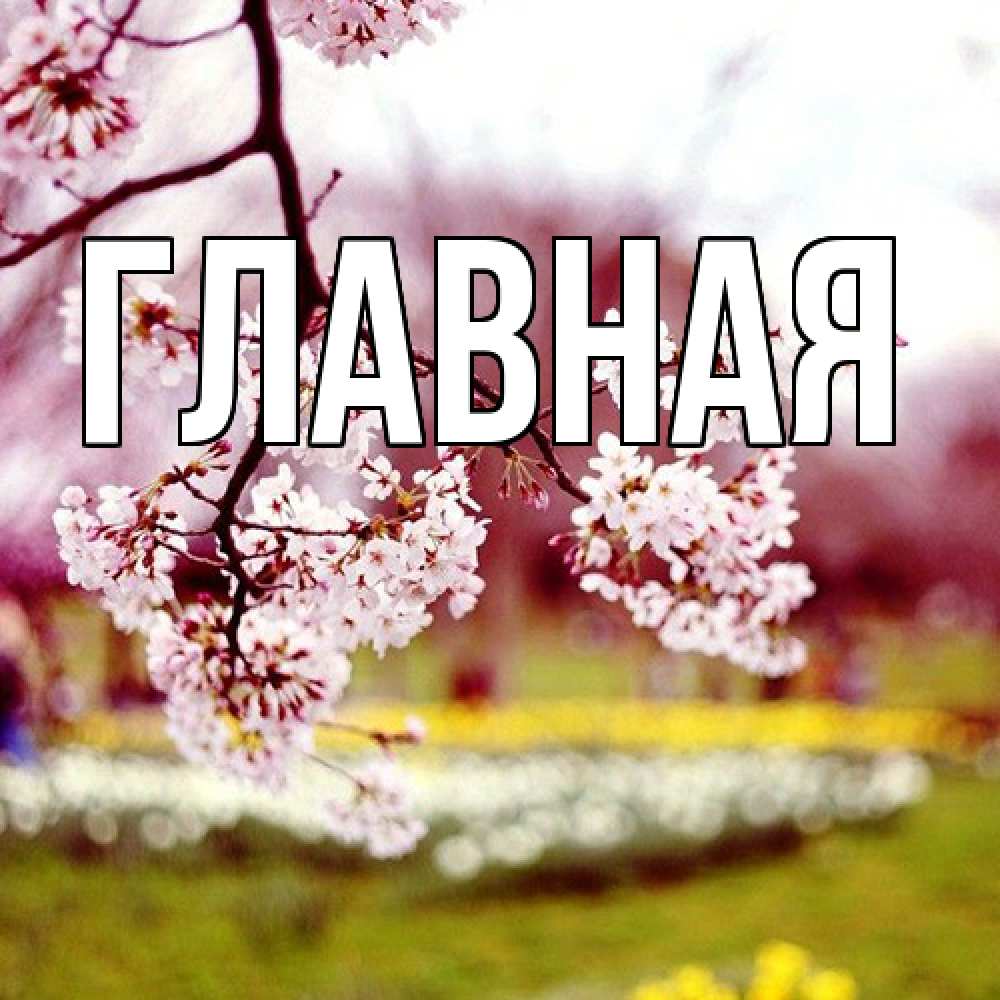 Открытка на каждый день с именем, Анна Главная яблоня Прикольная открытка с пожеланием онлайн скачать бесплатно 