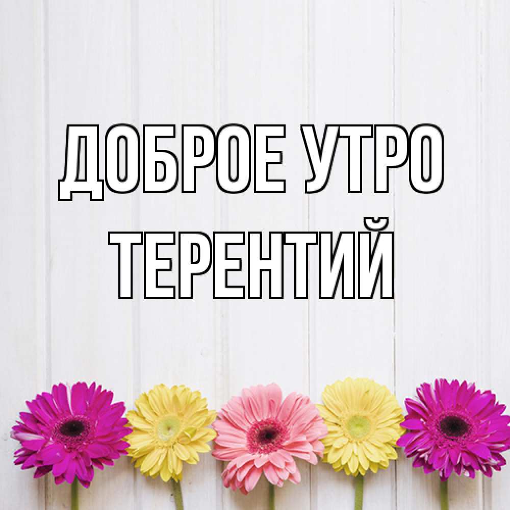 Открытка на каждый день с именем, Терентий Доброе утро красный желтый и розовый цветок Прикольная открытка с пожеланием онлайн скачать бесплатно 