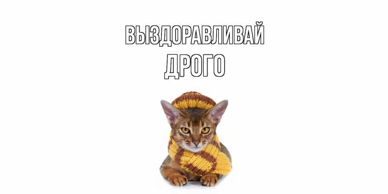 Картинка Выздоравливай, Дрого