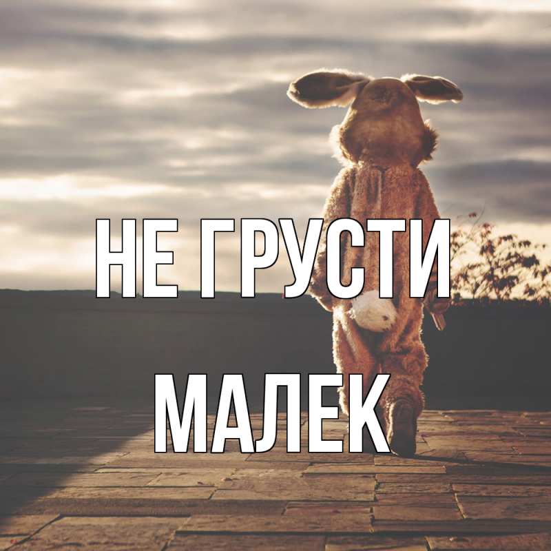 Картинка Не грусти, Малек