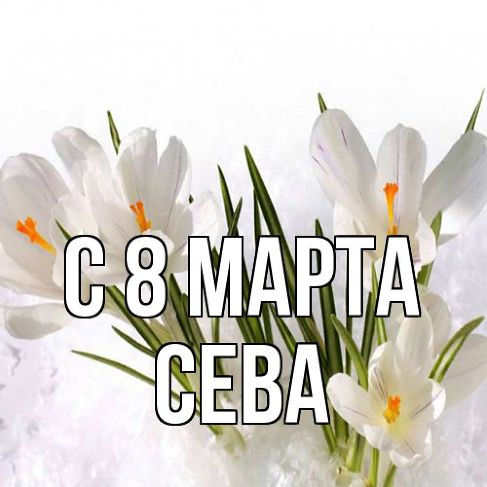 Открытка на каждый день с именем, Сева C 8 МАРТА под снегом Прикольная открытка с пожеланием онлайн скачать бесплатно 