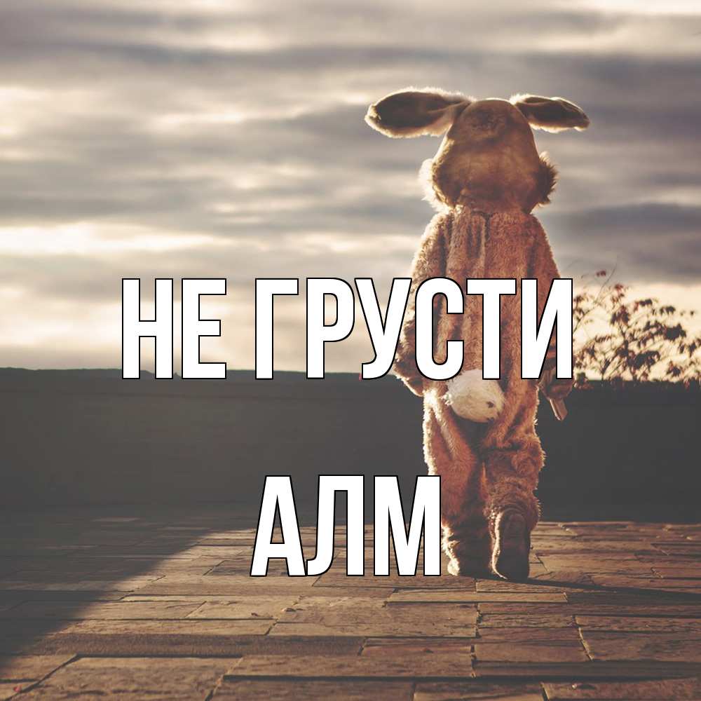 Открытка на каждый день с именем, Алм Не грусти со спины Прикольная открытка с пожеланием онлайн скачать бесплатно 