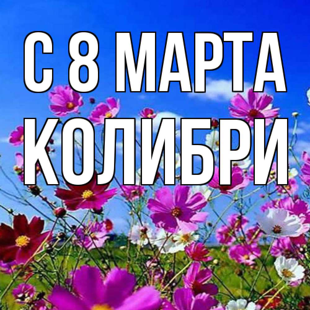 Открытка на каждый день с именем, Колибри C 8 МАРТА цветы Прикольная открытка с пожеланием онлайн скачать бесплатно 