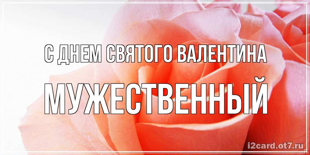 Открытка на каждый день с именем, Мужественный С днем Святого Валентина открытка на день Святого Валентина с розовой розой Прикольная открытка с пожеланием онлайн скачать бесплатно 