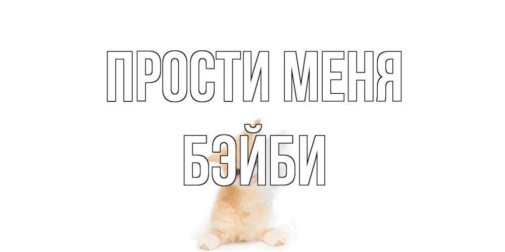 Открытка на каждый день с именем, бэйби Прости меня кот Прикольная открытка с пожеланием онлайн скачать бесплатно 