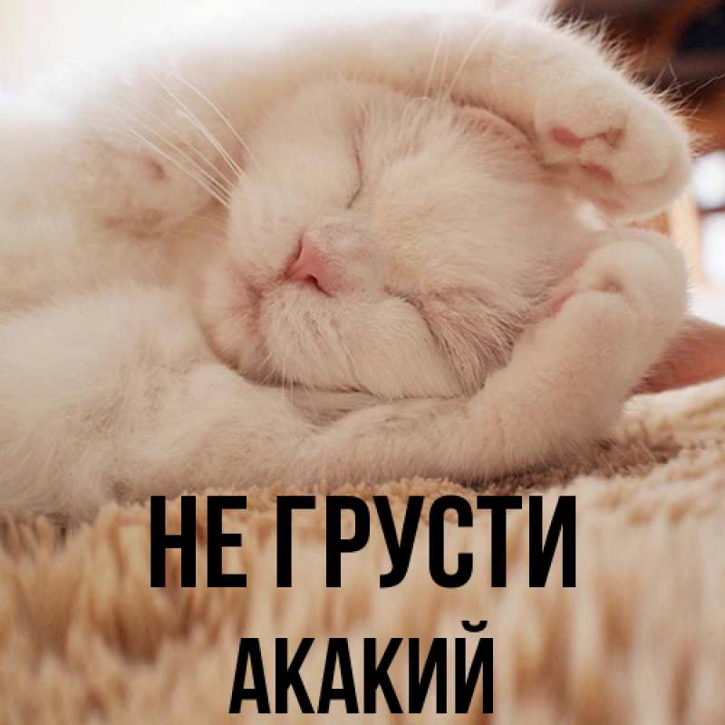 Картинка Не грусти, Акакий