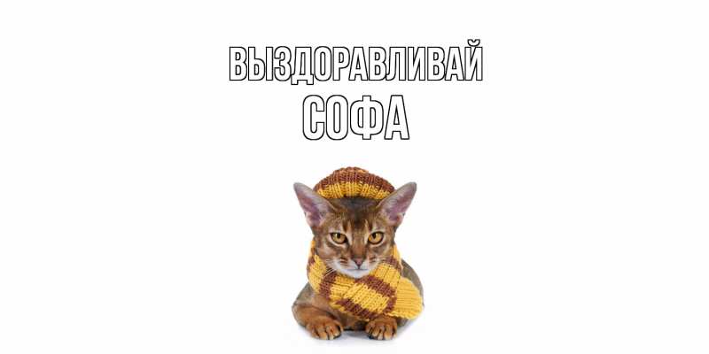 Картинка Выздоравливай, Софа