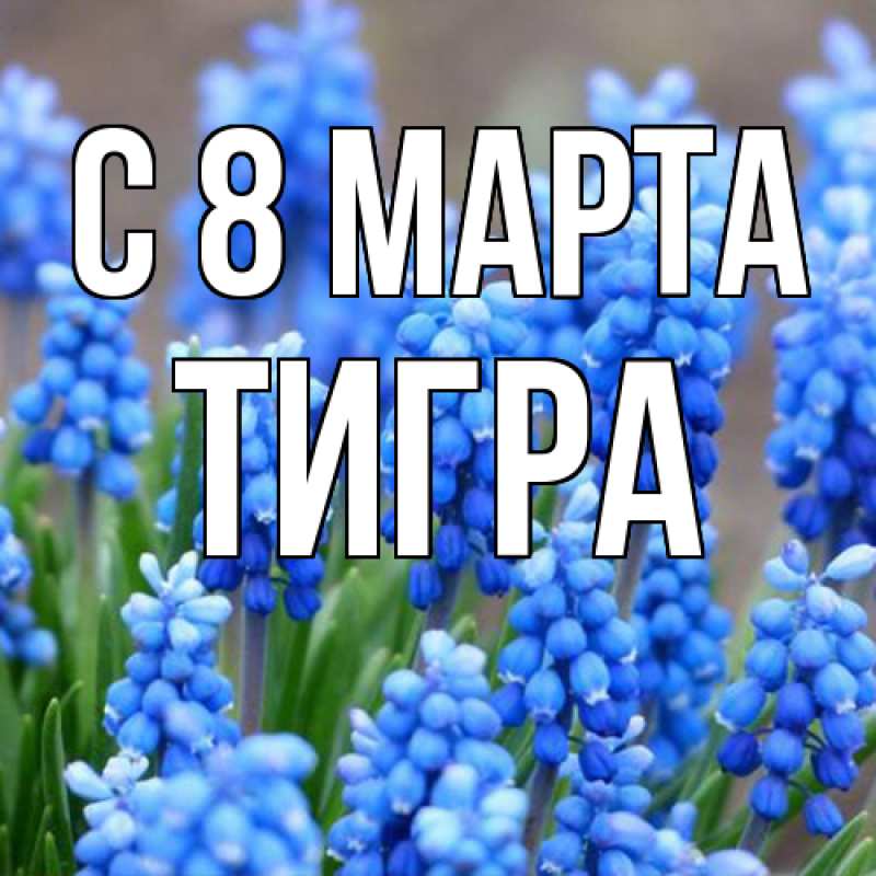 Картинка C 8 МАРТА, Тигpа