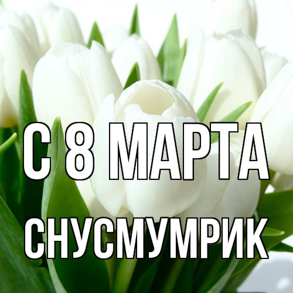 Открытка на каждый день с именем, Снусмумрик C 8 МАРТА цветы Прикольная открытка с пожеланием онлайн скачать бесплатно 