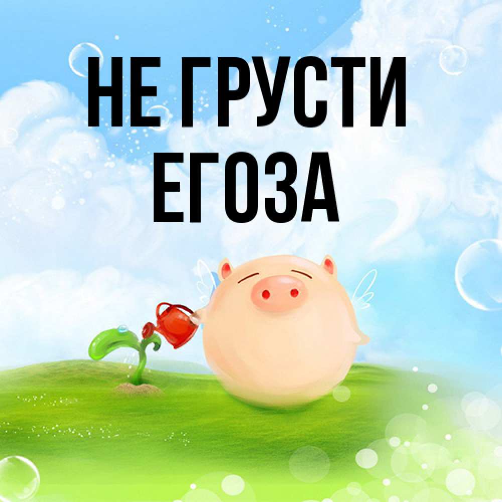 Открытка на каждый день с именем, егоза Не грусти поливает цветок порося Прикольная открытка с пожеланием онлайн скачать бесплатно 