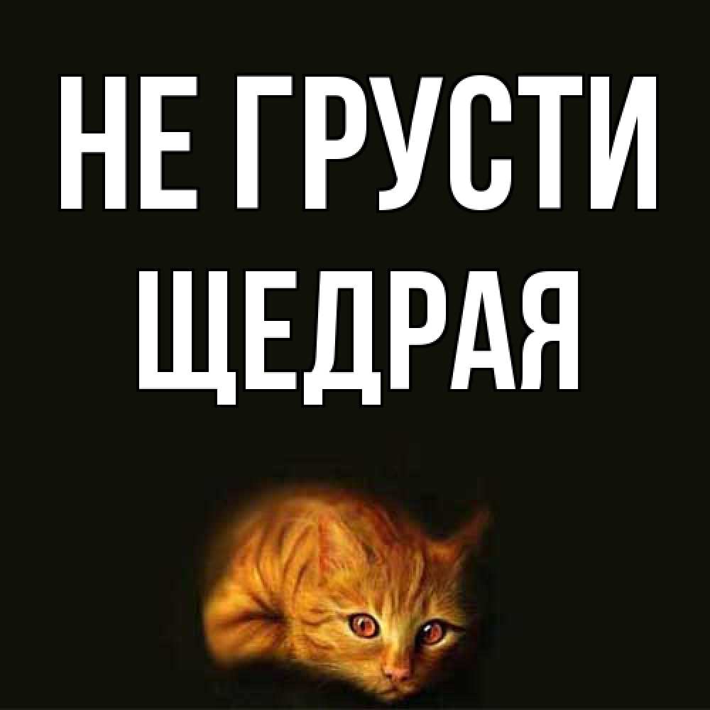 Открытка на каждый день с именем, Щедpая Не грусти лежащий кот в темноте Прикольная открытка с пожеланием онлайн скачать бесплатно 