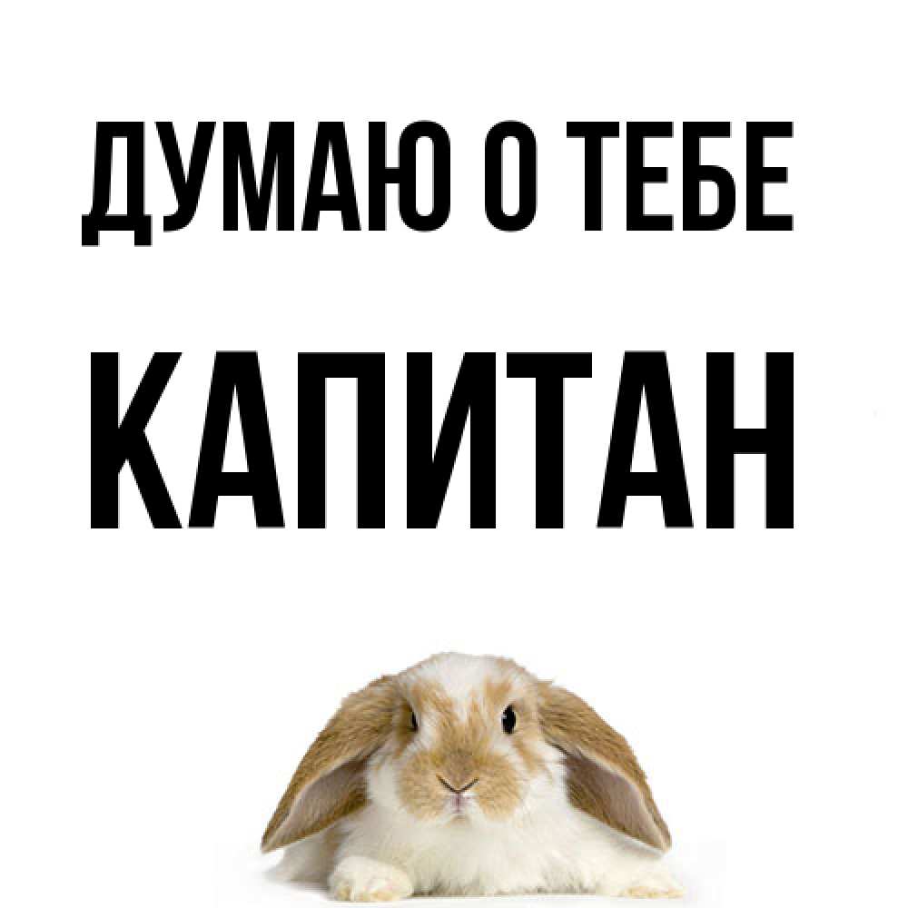 Открытка на каждый день с именем, Капитан Думаю о тебе подписать своими руками онлайн Прикольная открытка с пожеланием онлайн скачать бесплатно 