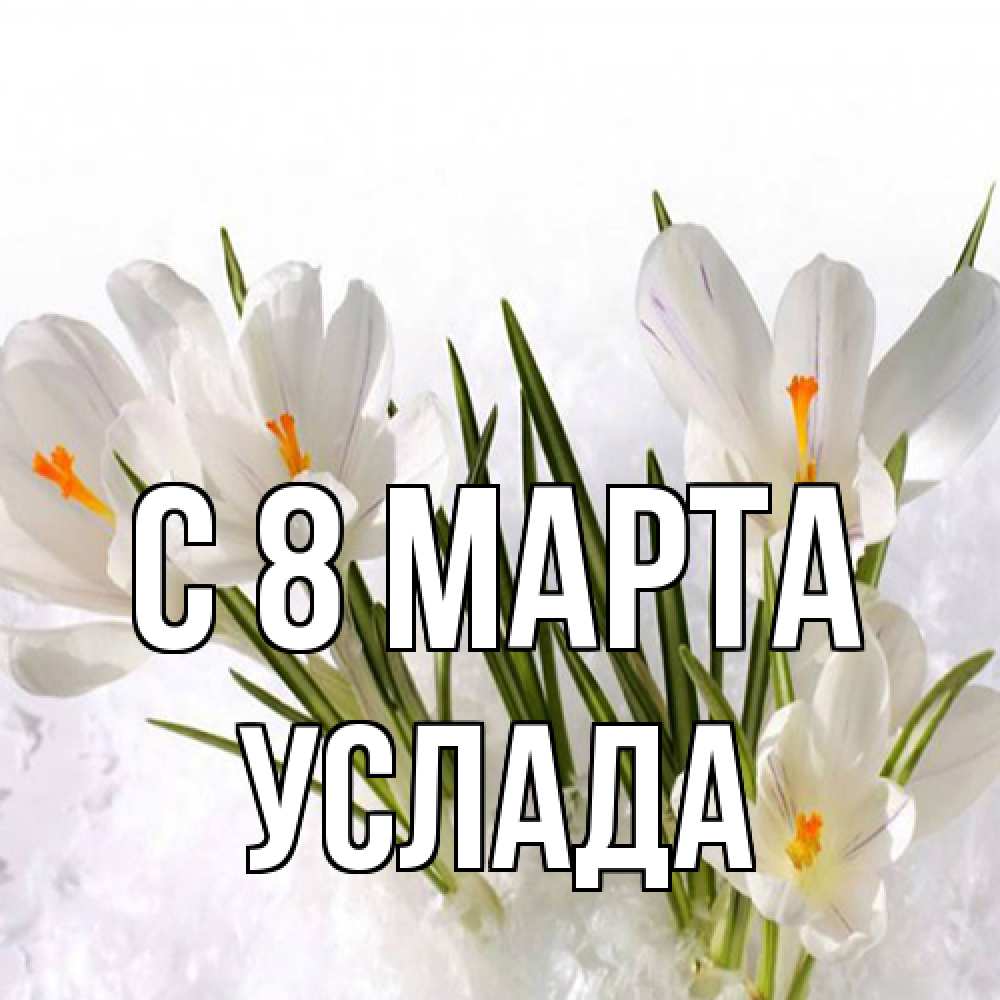 Открытка на каждый день с именем, услада C 8 МАРТА под снегом Прикольная открытка с пожеланием онлайн скачать бесплатно 