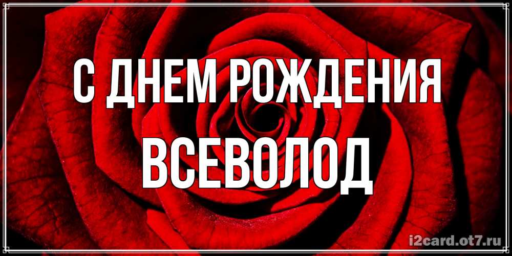 Открытка на каждый день с именем, Всеволод С днем рождения алая роза Прикольная открытка с пожеланием онлайн скачать бесплатно 