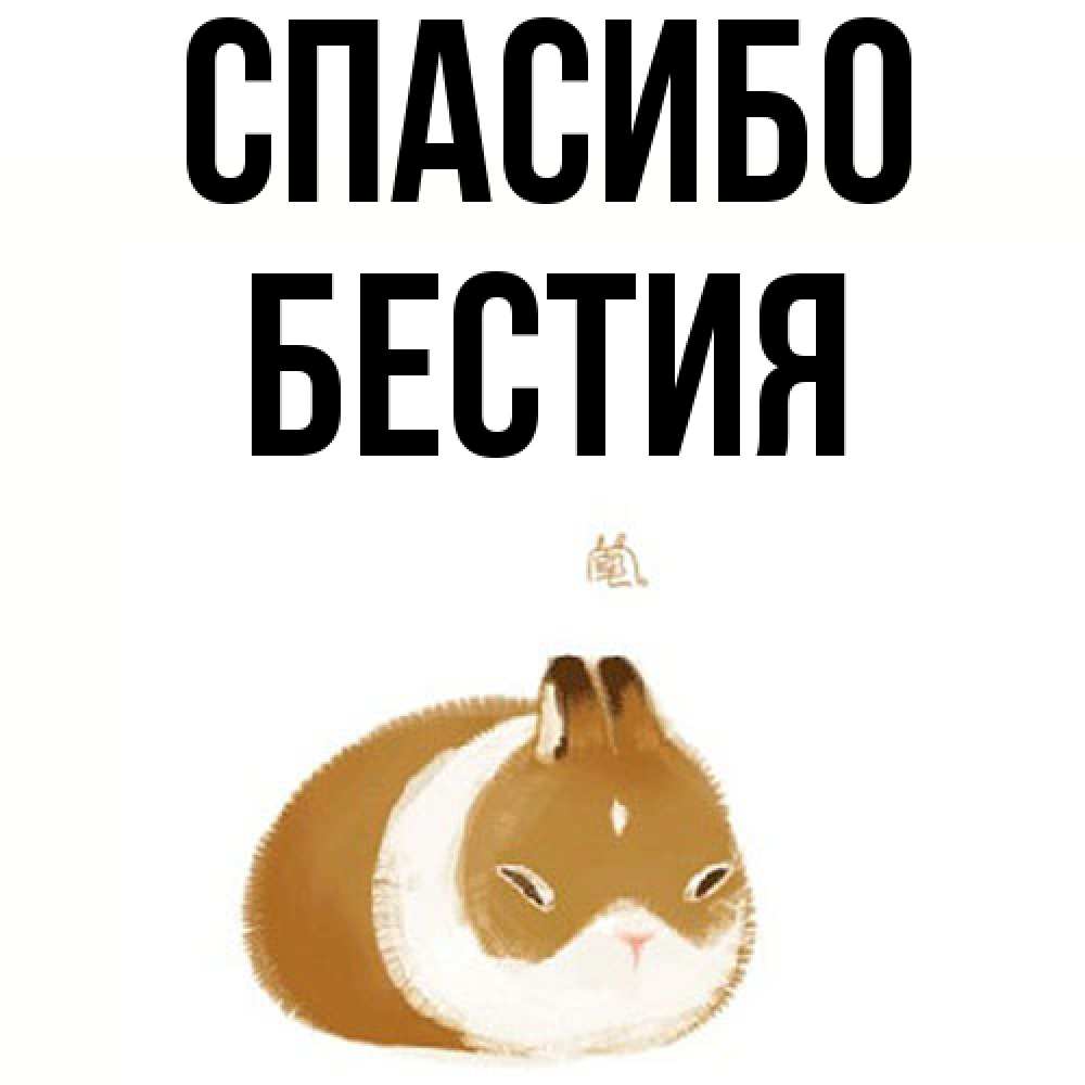 Открытка на каждый день с именем, Бестия Спасибо коричнево белый домашний питомец Прикольная открытка с пожеланием онлайн скачать бесплатно 